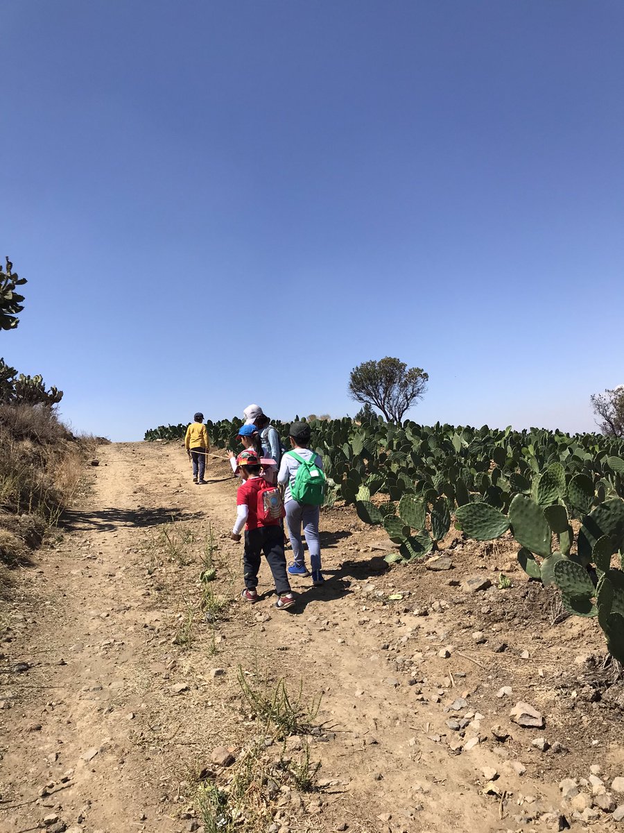 ToursAven's tweet photo. ¡Podremos estar un tiempo sin jugar, pero tarde o temprano tenemos que volver al juego! En #Aventours hacemos #senderismoparaniños para acceder al encuentro con el otro, donde para chicos y grandes el juego humano es disfrutar #juntos
#PonteEnCamino https://t.co/CpRDTUbuz7