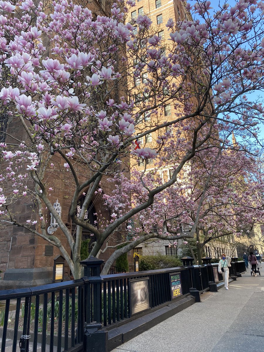 lemmonsy's tweet photo. Feeling the city today 🌸 https://t.co/LslIVSKtzC