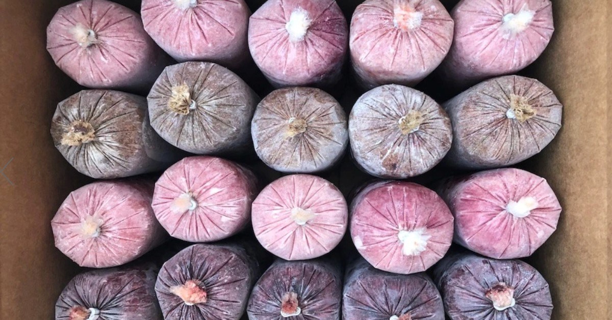 PupperSelect's tweet image. Wondering what food your pup will like? Don&apos;t stress! 

We have a sampler box that you can buy that contains 6 proteins of your choice for under $35.00, you read that right, UNDER 35 bucks! 

Head to our website to shop now: ow.ly/xhVq50EkcmB