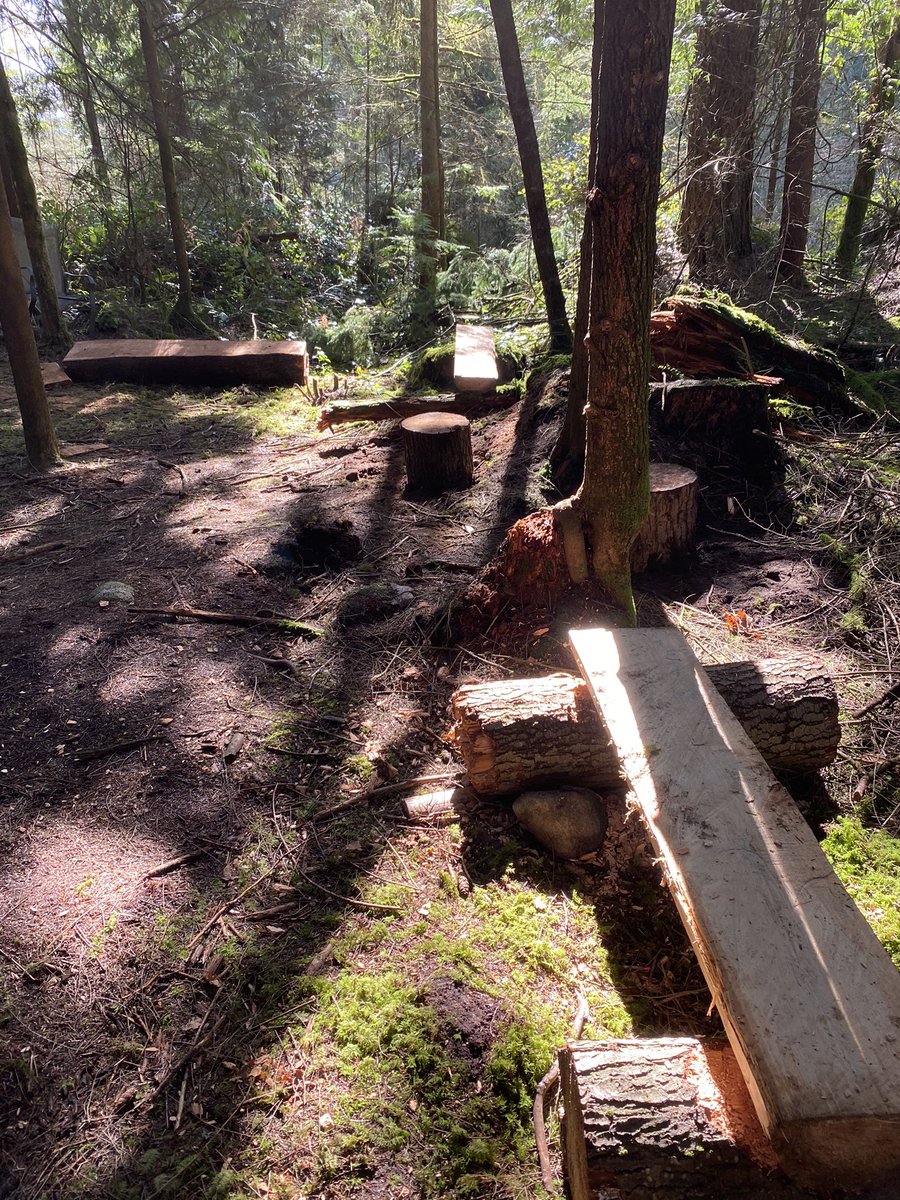 DanielMar785's tweet photo. The Eagle’s Nest is now complete at @43EagleMountain outdoor learning space! Students have been working hard every Thursday to help construct this beautiful learning area. Thanks to @sd43bc multicultural grant for providing this opportunity to students! #ECSfund @jmcconville1000 https://t.co/kuDg901ujO