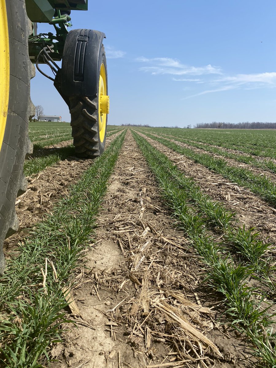 #ontag solid seeded and twin row wheat ... applied nitrogen and sulphur.. #splitapp ...