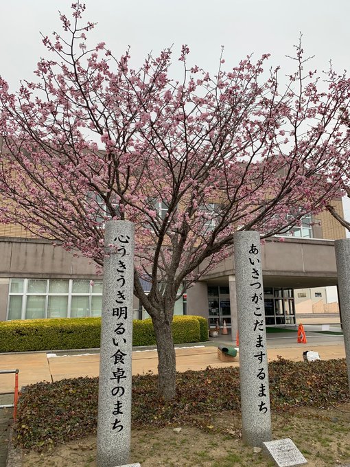 東松島市コミセンのtwitterイラスト検索結果