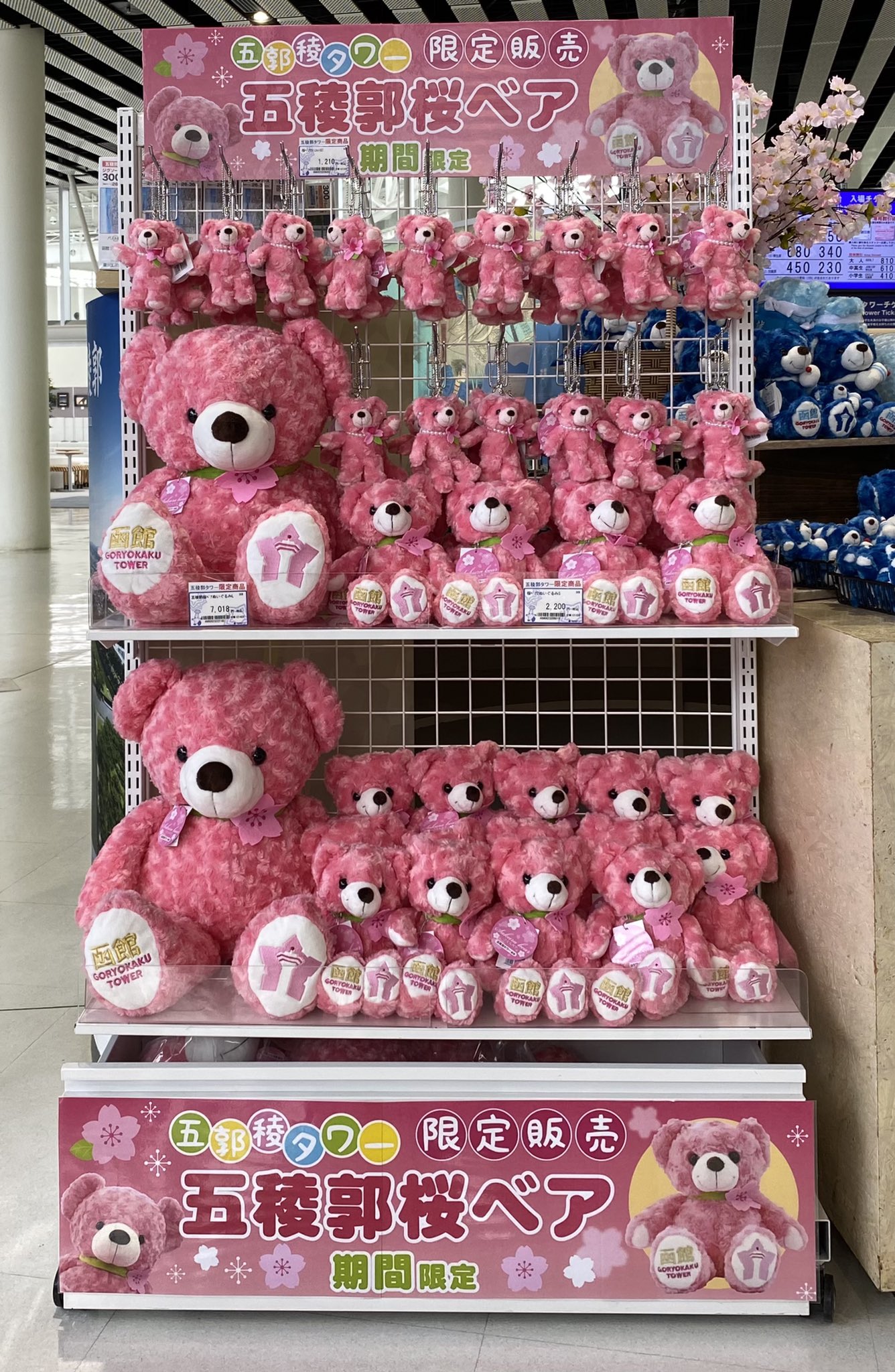 五稜郭タワー販売部【公式】 on X: 五稜郭タワー販売部【公式】 on X: