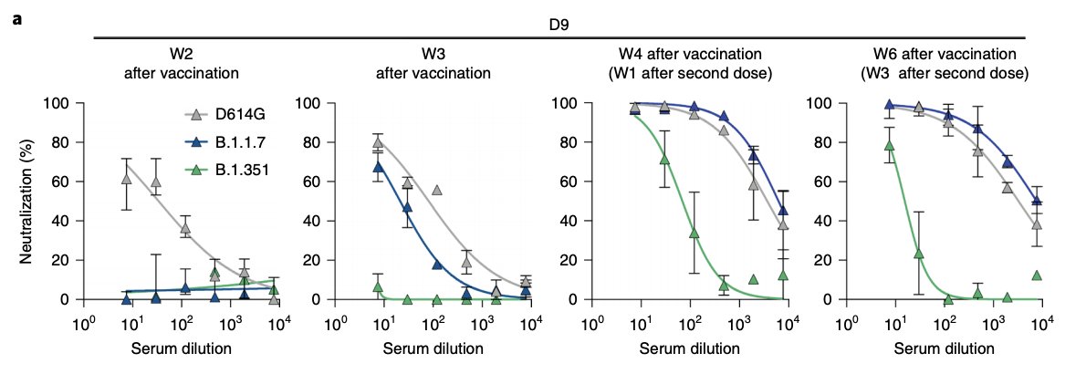 21/ See Fig 4a:When was neutralization detectable after getting with Pfizer vaccine?D614G (early strain): 2 weeks after 1st dose B.1.1.7: 3 weeks after 1st dose (but less well)B.1.351: 4 weeks after 1st dose = 1 week after 2nd dose (lower than for D614G or B.1.1.7)