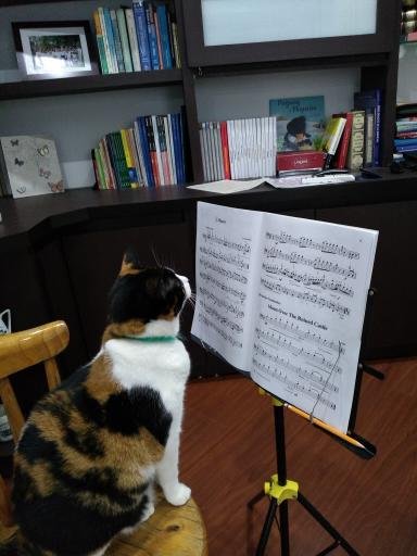 Auranhr's tweet photo. @tatianaduplat @JuanCamiloRinc2 @PlanetaLibrosCo Y la nuestra tiene cara de director de orquesta? https://t.co/LaFr5wVSiS