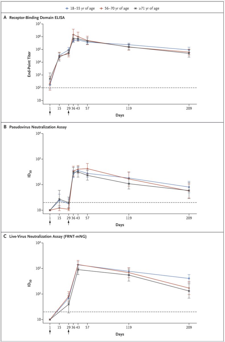 33/ Here’s another study showing that 2nd doses of Moderna vaccine boost antibody levels significantly (day 29 = day of 2nd dose): https://www.nejm.org/doi/full/10.1056/NEJMc2103916