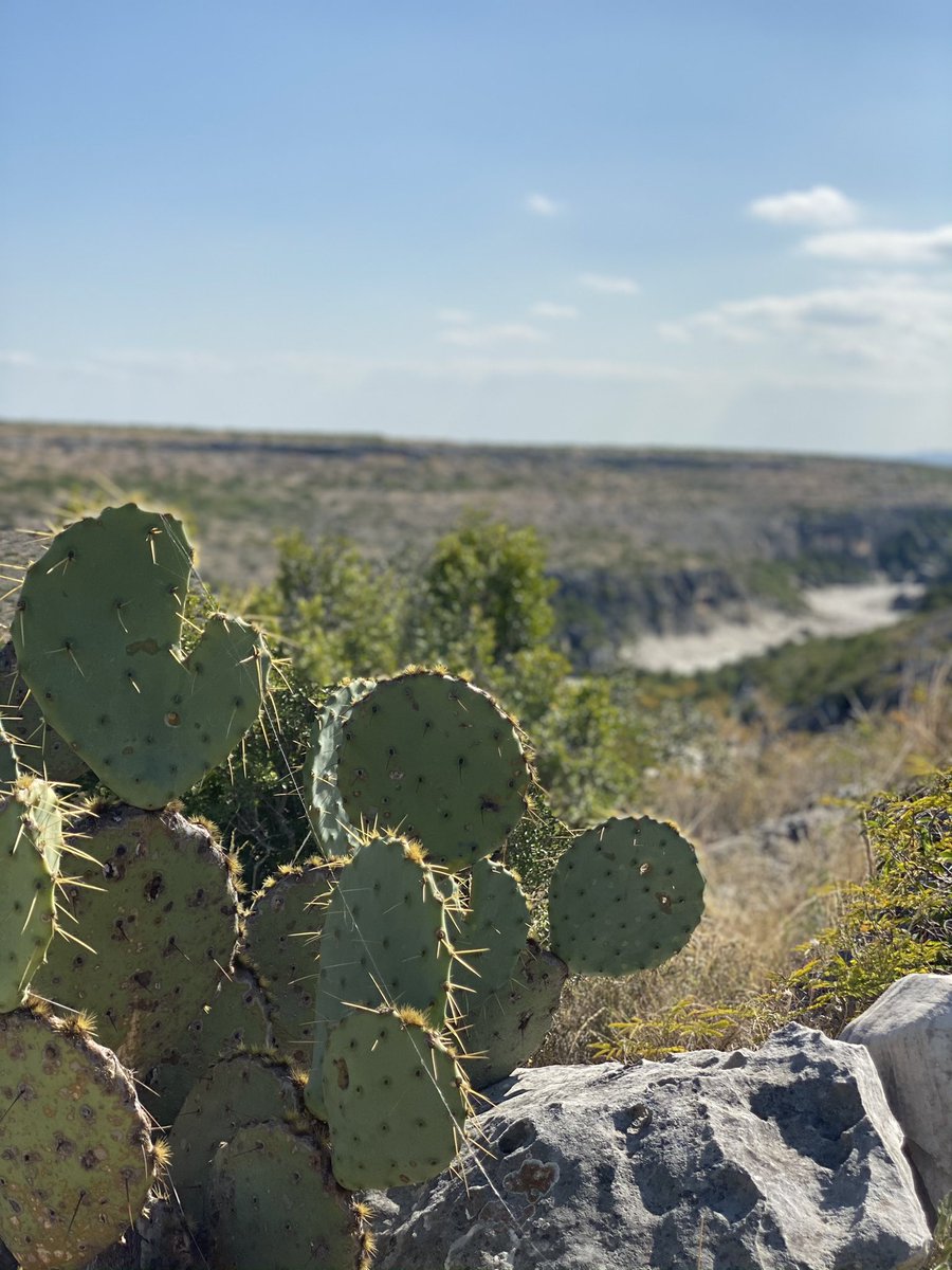 YOLO_TX's tweet photo. Amistad & Adventure!
• Del Rio is known for their friendly community and great outdoor adventures! Enjoy great fishing, hiking, boating, rock climbing and so much more! 🥾 💦 ⚓️🐟🧗🏻♀️
#exploredelrio #visitdelrio #yolotx https://t.co/LBTHmMNdBf