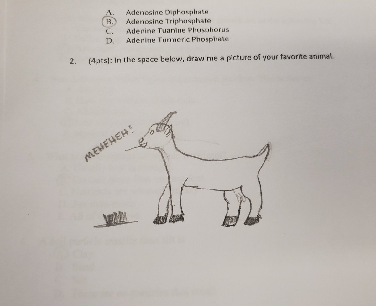 3: the goat
