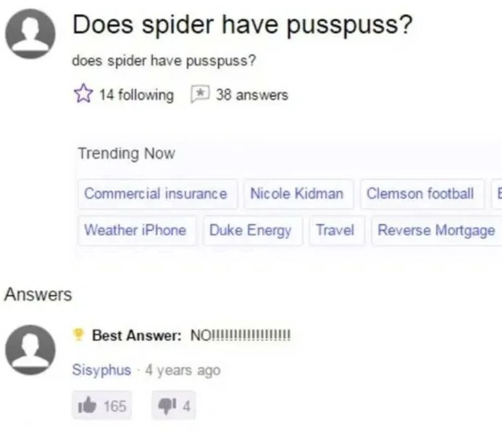 Does spider have pusspuss?