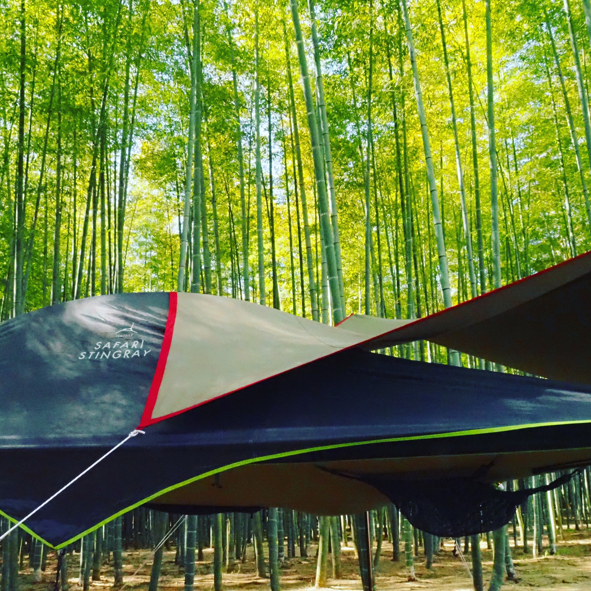 若竹の杜 若山農場 公式 昨年秋にスタートした若山農場のキャンプ 野宿 は 広大な竹林の一角にハンモックスタイルのテントを張り 笹鳴りの音と鳥の声をbgmに特別な時間をお楽しみいただけます ご興味のある方は Hpの 野宿 サイトをご覧下さい