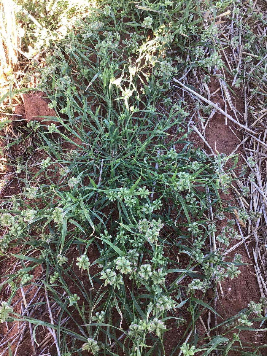 Nigel Routledge tweet media