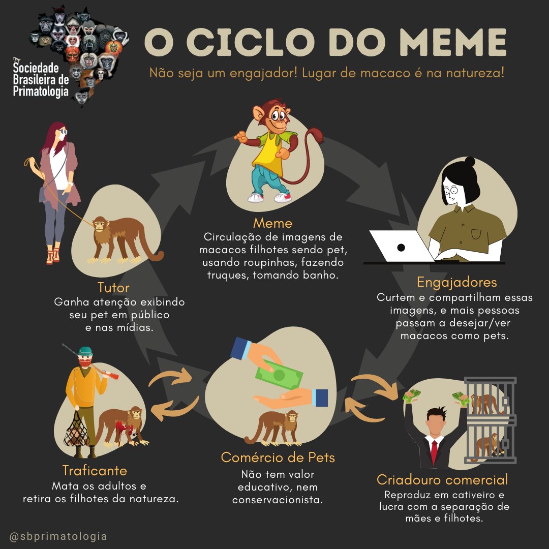 Você sabe o que o seu like pode gerar? Quando vc curte e compartilha um meme de macaco (usando roupas, tomando banho, sendo manipulado, etc), vc incentiva pessoas a adquirirem macacos, tanto legal quanto ilegalmente.
Quebre o ciclo! Não curta ou compartilhe memes de macacos.