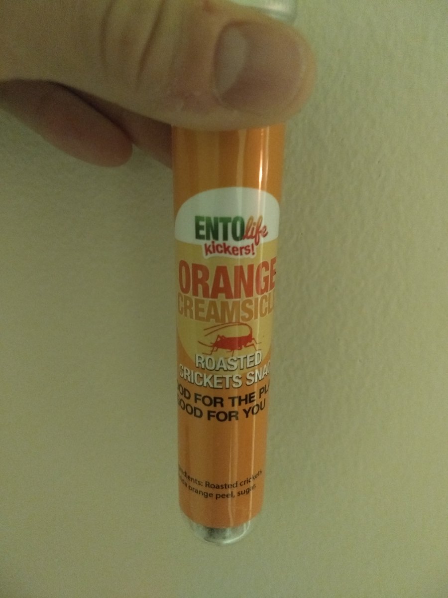 You thought I gave up, didn't you, fucker. Well, joke's on me, I really am that stubborn. Not only am I gonna eat a tube of crickets, I'm gonna eat a tube of *dessert crickets*. Enter: Orange Creamsicle