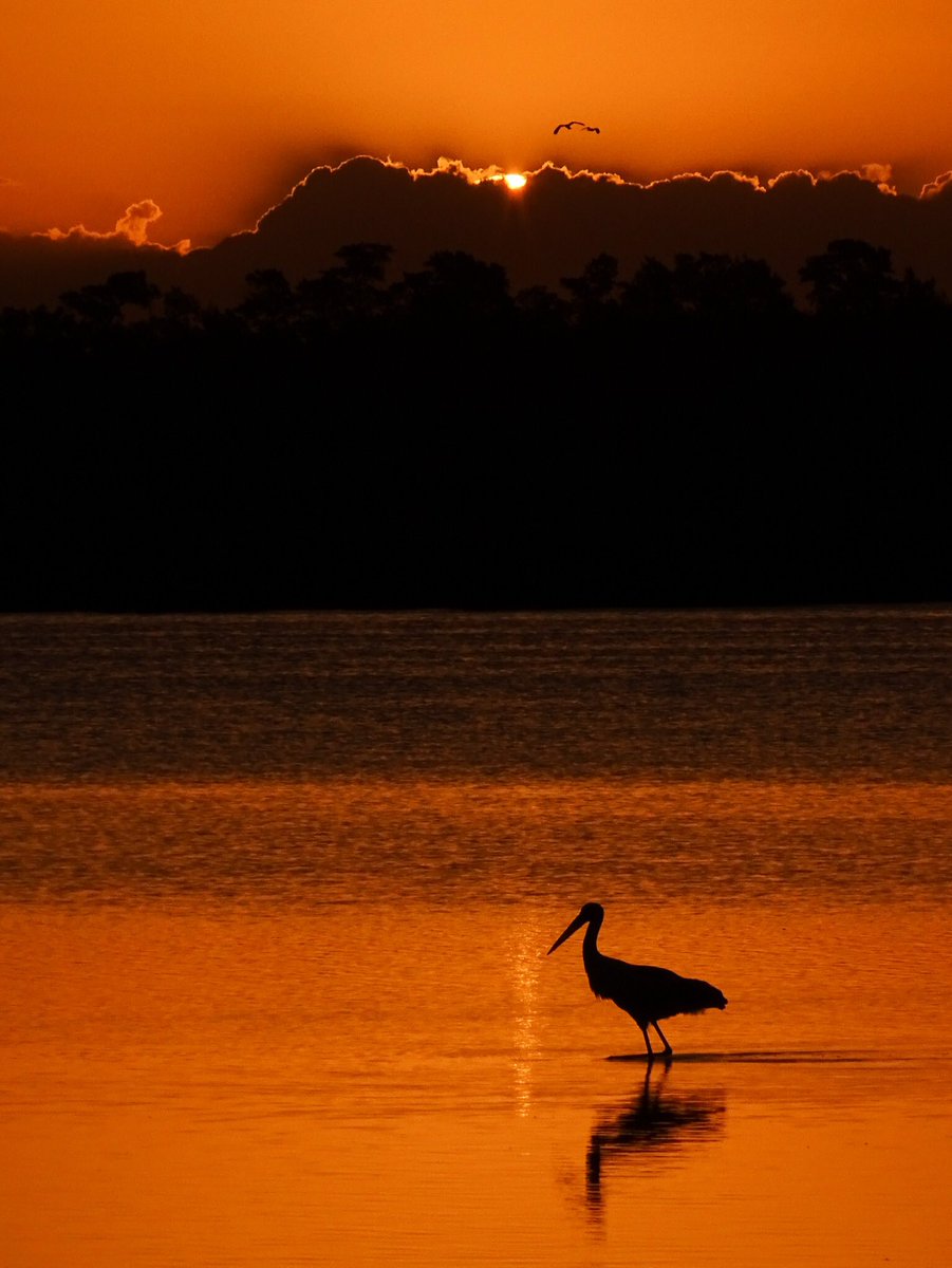 Con el último rayo / Wii The last ray . Navarro, Buenis Aires