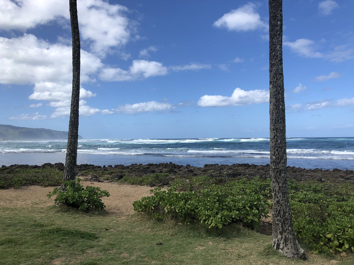 Hawaii_EMA's tweet photo. #DidYouKnow In the deep ocean, a tsunami can travel up to 500 MPH. That is as fast as a jet plane! Near shore, tsunami waves increase in height but slow to the speed of a car, roughly 20-30 MPH.
#TsunamiAwarenessMonth #TsunamiScience #808state #ProtectYourOhana #NowYouKnow https://t.co/LJ8WyxkVol