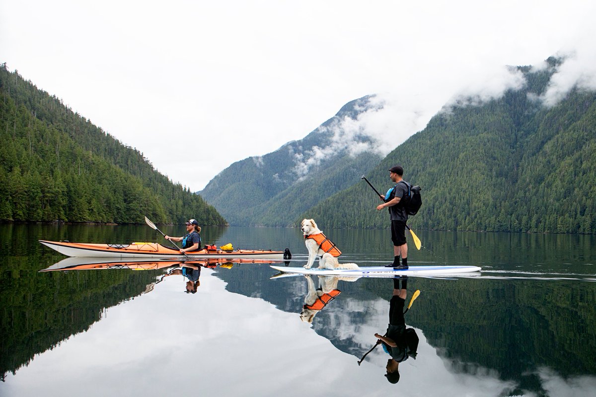 While our signature experiences put the 'wild' in wilderness, we take every step possible to ensure the safety of our guests and team members. Even Maui the lodge pup never forgets her life jacket!