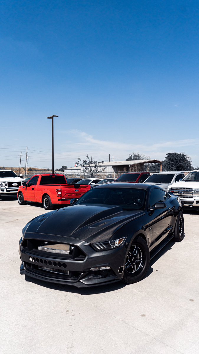 notdrewhtx's tweet photo. your girl favorite mustang ✌🏼 https://t.co/xu0AWEqXaj