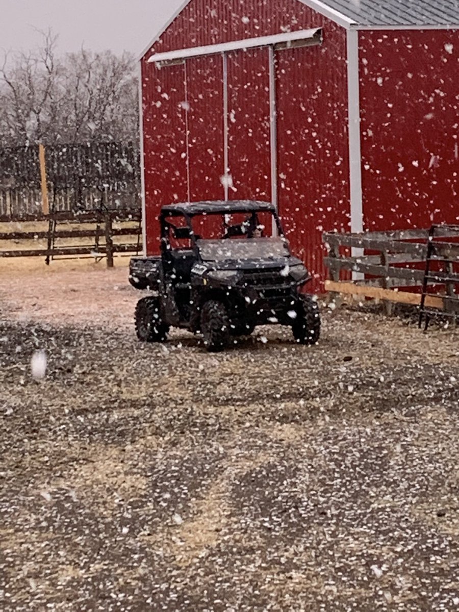 These are the biggest snowflakes I have ever seen. #AprilShowers