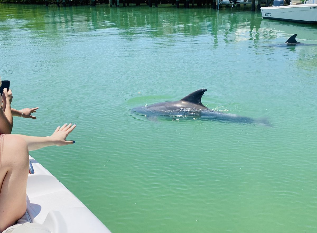 ccglaser's tweet photo. Another day in paradise with our guests from Ohio π¬βοΈ We had some playful dolphins! #boatcaptainrealtor #yourdayonthewater #fortmyersbeach https://t.co/L5bn3WcKCJ
