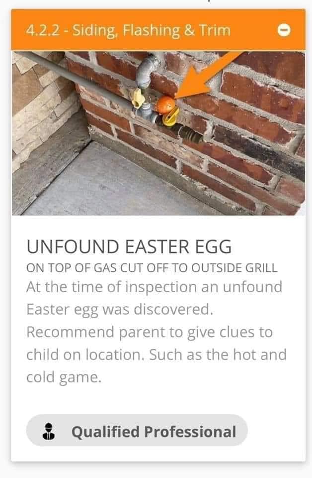 HouseMasterTOR's tweet image. We find the big things, we find the small things. 🙂🥚🐰

#torontorealestate #homeinspection #inspectorhumor #easteregg
