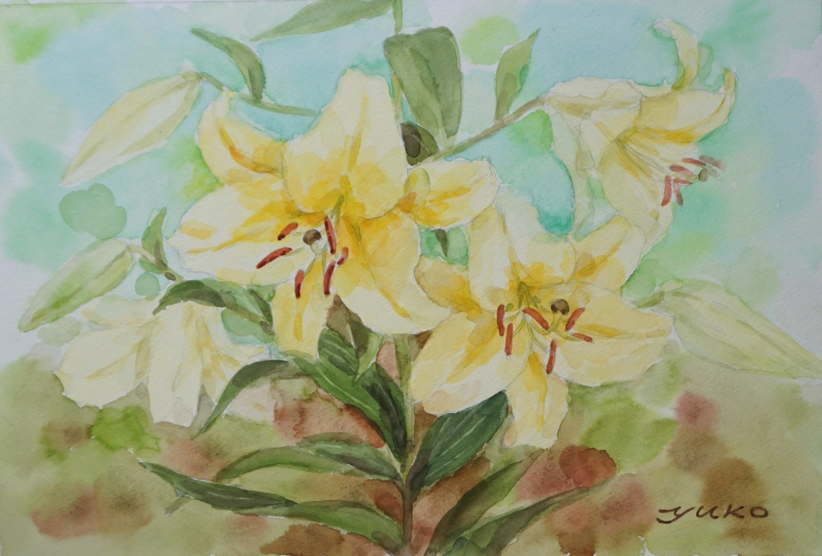 野の花のギャラリー 祐子 水彩で 黄色い百合を描きました 来月 鹿沼市美術協会展に出品する予定の油彩画のための下絵です 水彩画 透明水彩 百合 花の絵 作品展