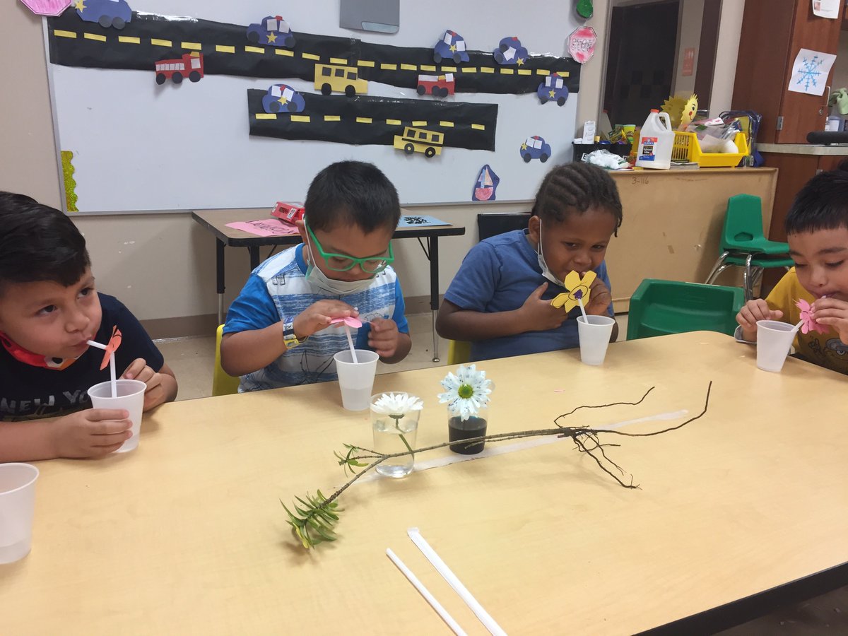 Angie Anshel tweet media