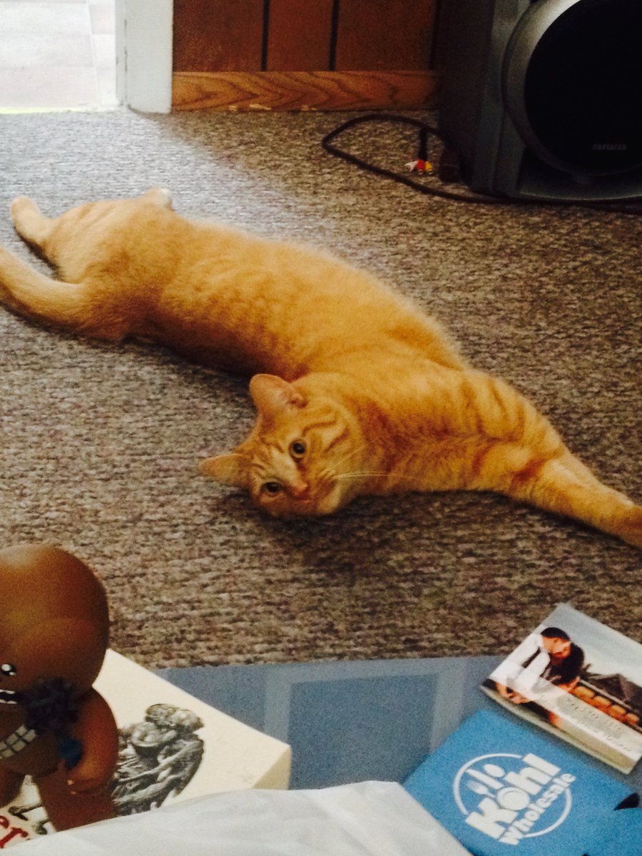 garrett_hoff's tweet photo. @Diablo He is yours.... https://t.co/3wmaQB1Dkt