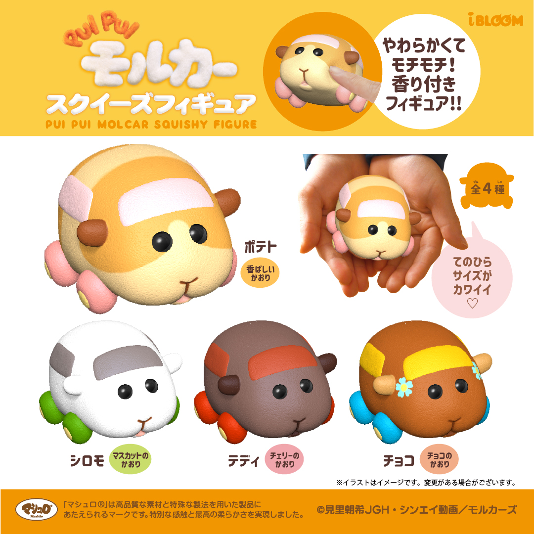 PUI PUI モルカー【公式】 on Twitter: PUI PUI モルカー【公式】 on Twitter: