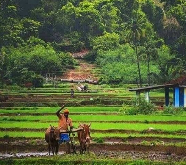 Bismillahirrahmanirrahim.. semoga Jum'at yg berkah untuk Indonesia. Apapun keadaannya syukuri nikmat yang sudah di berikan oleh Nya, dan bersabarlah apa yang belum diperoleh dari Nya. 
Allahuma sholli wasalim'ala sayyidina Muhammad wa'ala'alli sayyidina Muhammad.
