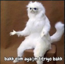 Sabah sabah yarıya inince elimiz ayağımız titriyor 
 #NPXS