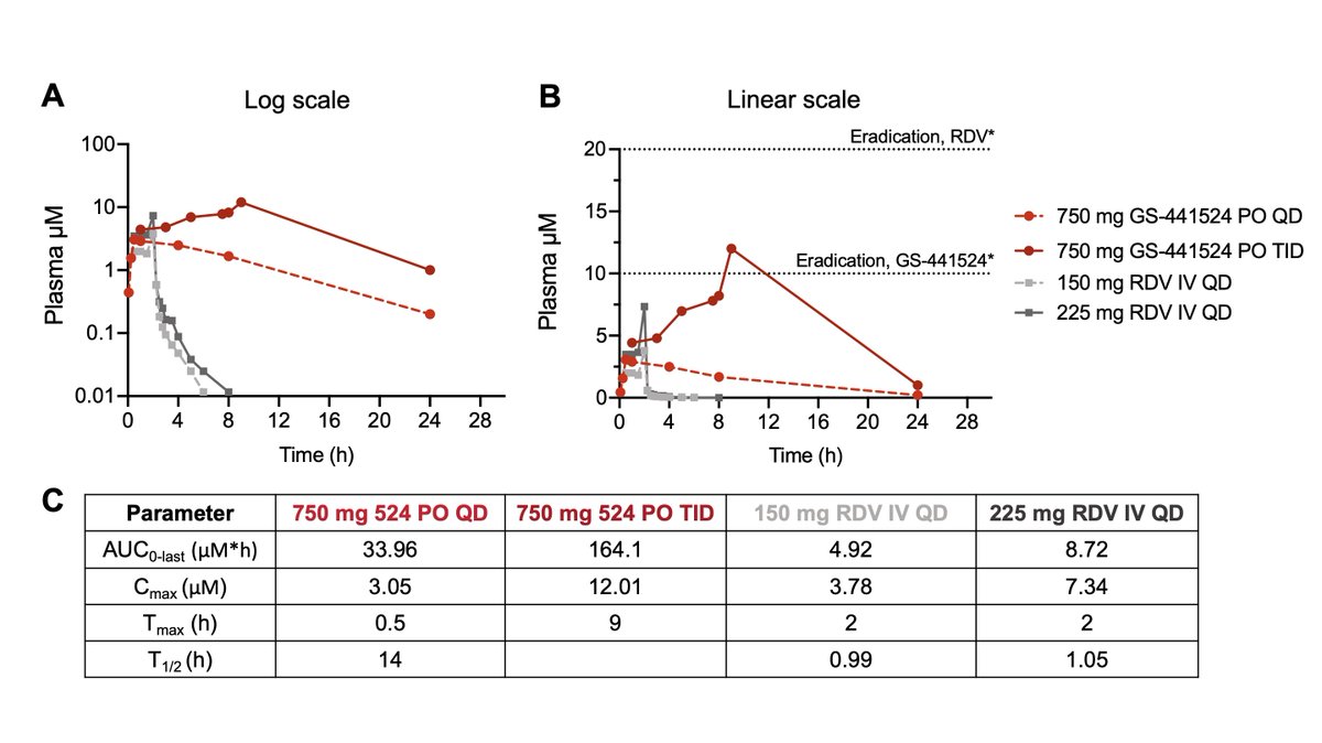 How does PO GS-441524 compare to IV RDV? Very favorably. TID dosing easily and surpasses the 10 uM necessary to eradicate SARS-CoV-2 in vitro (Cmax ~12 uM). In contrast, the Cmax of the highest dose of RDV is unable to achieve the 20 uM necessary to eradicate SARS-2 in vitro 6/7