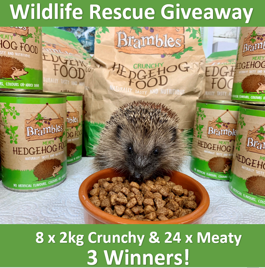 BramblesPawLtd's tweet photo. 🦔Giveaway Time! 
Vote for Wildlife Rescues on our Facebook page (or here if you don't have Facebook).  
3 Rescues can each win 8 bags of Brambles Crunchy &amp; 24 tins of Meaty Hedgehog Food! Winners will be announced Monday 12/4/21. Please like &amp; retweet 😃
📷@WildlifeOrphan1 https://t.co/lCvu9pHFXs