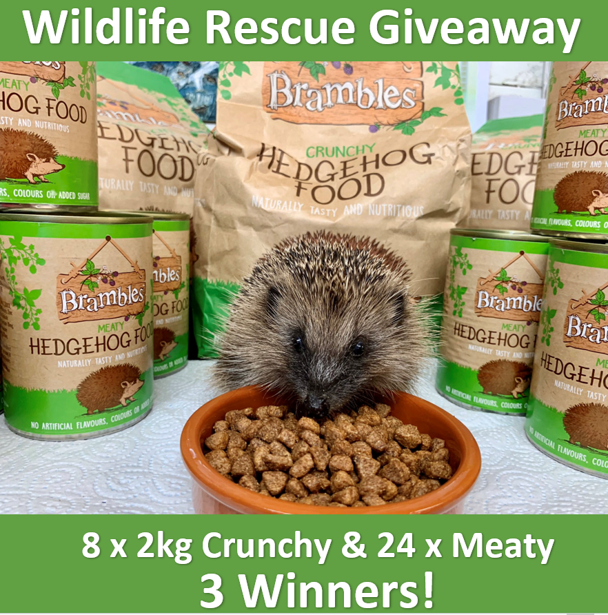 🦔Giveaway Time! Vote for Wildlife Rescues on our Facebook page (or here if you don't have Facebook). 3 Rescues can each win 8 bags of Brambles Crunchy & 24 tins of Meaty Hedgehog Food! Winners will be announced Monday 12/4/21. Please like & retweet 😃 📷@WildlifeOrphan1