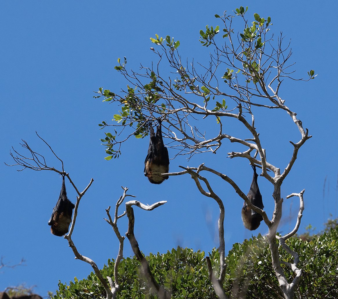 Estelle Bonnet-Vidal tweet media