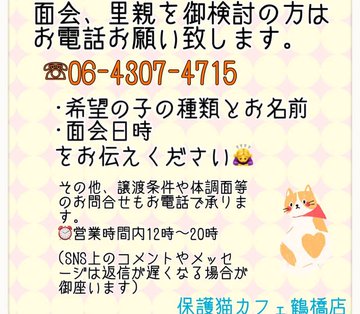 保護猫カフェ鶴橋のtwitterイラスト検索結果 保護猫カフェ鶴橋のtwitterイラスト検索結果