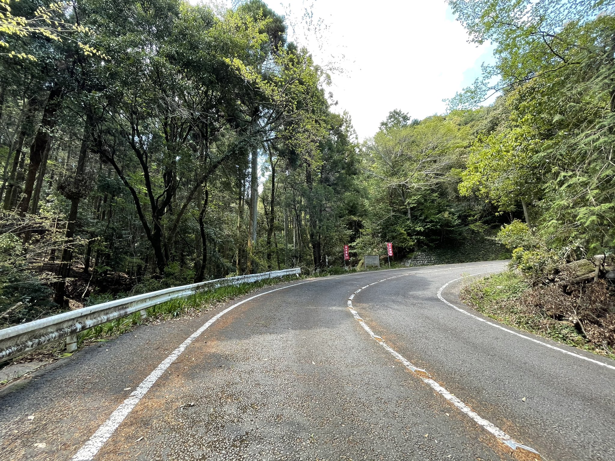 岐阜聖地巡礼者 昨日頭蓋骨が発見された金華山ドライブウェイの岩戸側来て入り口から400m程歩いたけど黄テープとか張られてないしなんも分からんかった その代わり新緑が綺麗やった T Co 91pxmdjux5 Twitter