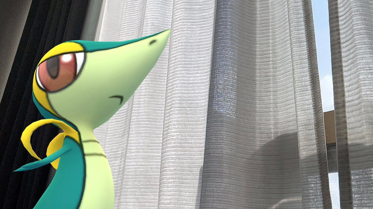 ci_ronnu_p's tweet image. 明後日でおれっちの優位性も失われるのか…。
#ポケモンGO #PokemonGO #ARPlus #PokemonGOAR #GOsnapshot #ツタージャ #コミュニティデイ２日前の憂鬱 #ARofTheDay #NoFilterARFriday