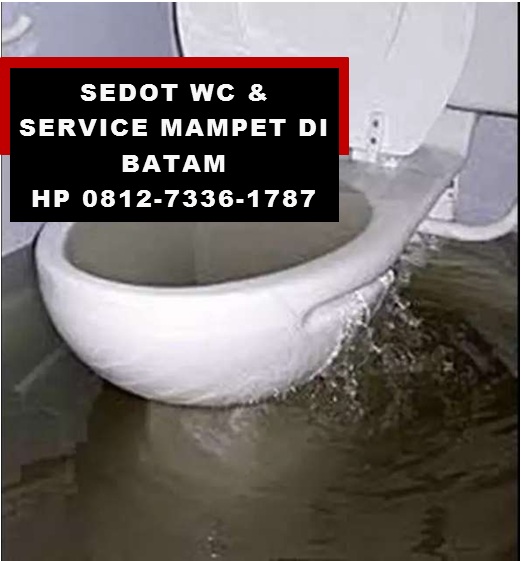 0812-7336-1787 Sedot WC Batam – Solusi Plus Plong

batam-gypsum.blogspot.com/2021/04/0812-7…

#Sagulung #Tiban #Batam #Barelang #WCBatam #TinjaBatam #LimbahBatam #SepticTankBatam #GreaseTrapBatam #SedotWCBatam #SedotTinjaBatam #SedotSeptictankBatam #livinMcD #AttackOnTitan139 #instagramdown