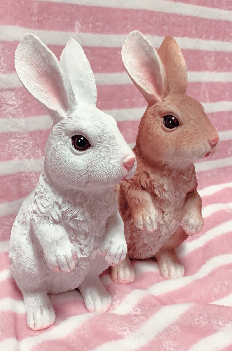 最近の衝動買いがやばい… DAISOで園芸用のうさぎの置物売ってたから