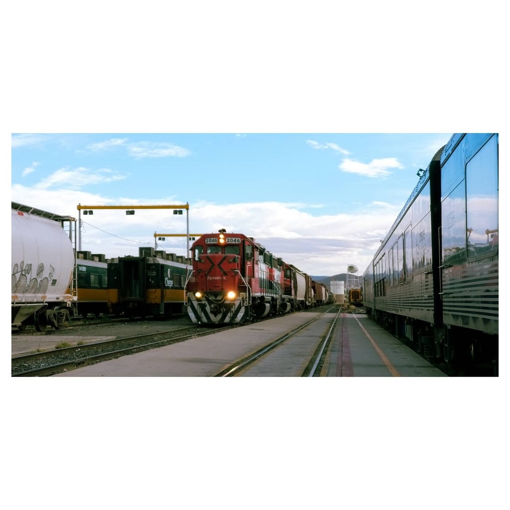 NVarmando1's tweet photo. #mexico #streetgrammersmx #igersmexico #railstagram #railways #cinematic #sombrescapes #irimages #photocinematica #photoobserve #espritmag #ig_cinemag #reframedmag #trainsppoting #ferromex #sunset #streetphotography https://t.co/WkuJ3t8w9g https://t.co/sEM2tlBbD3