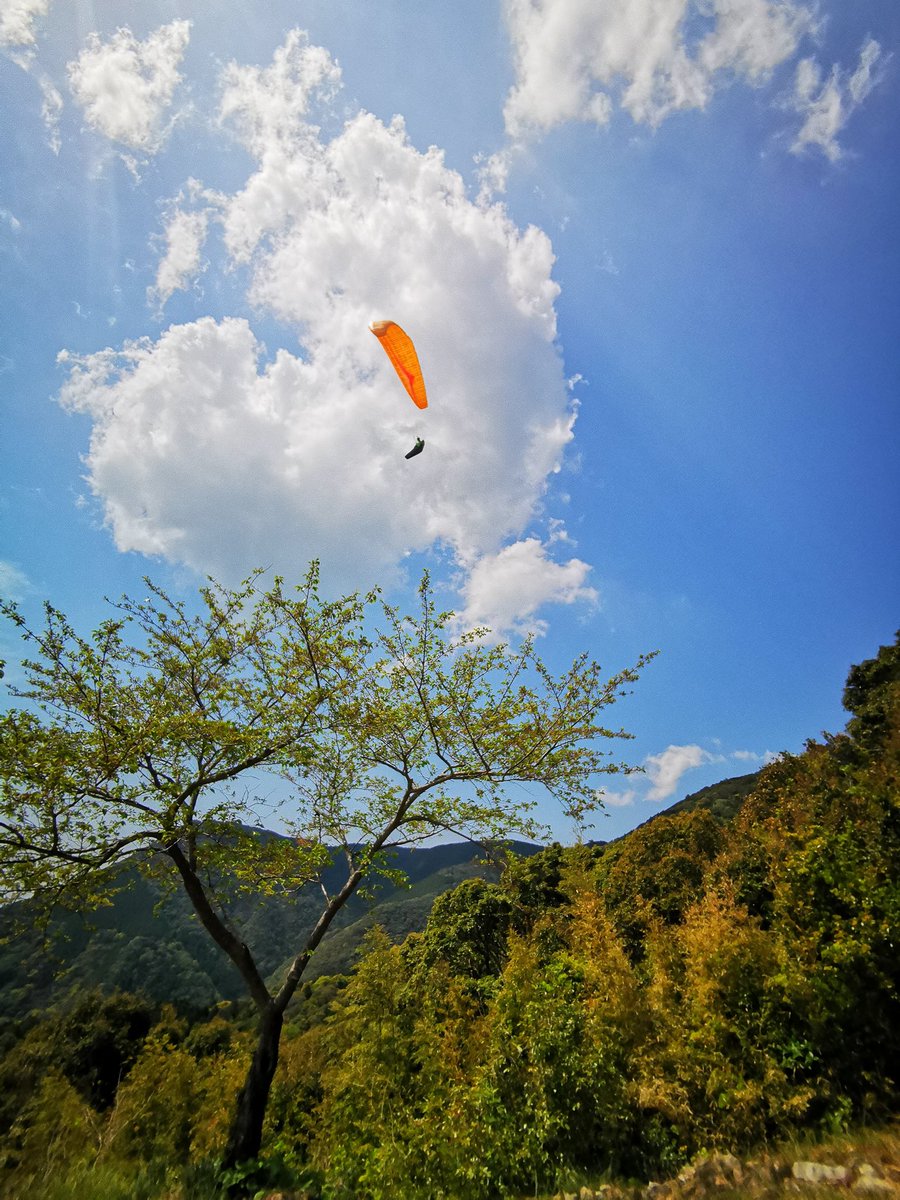 パラグライダー