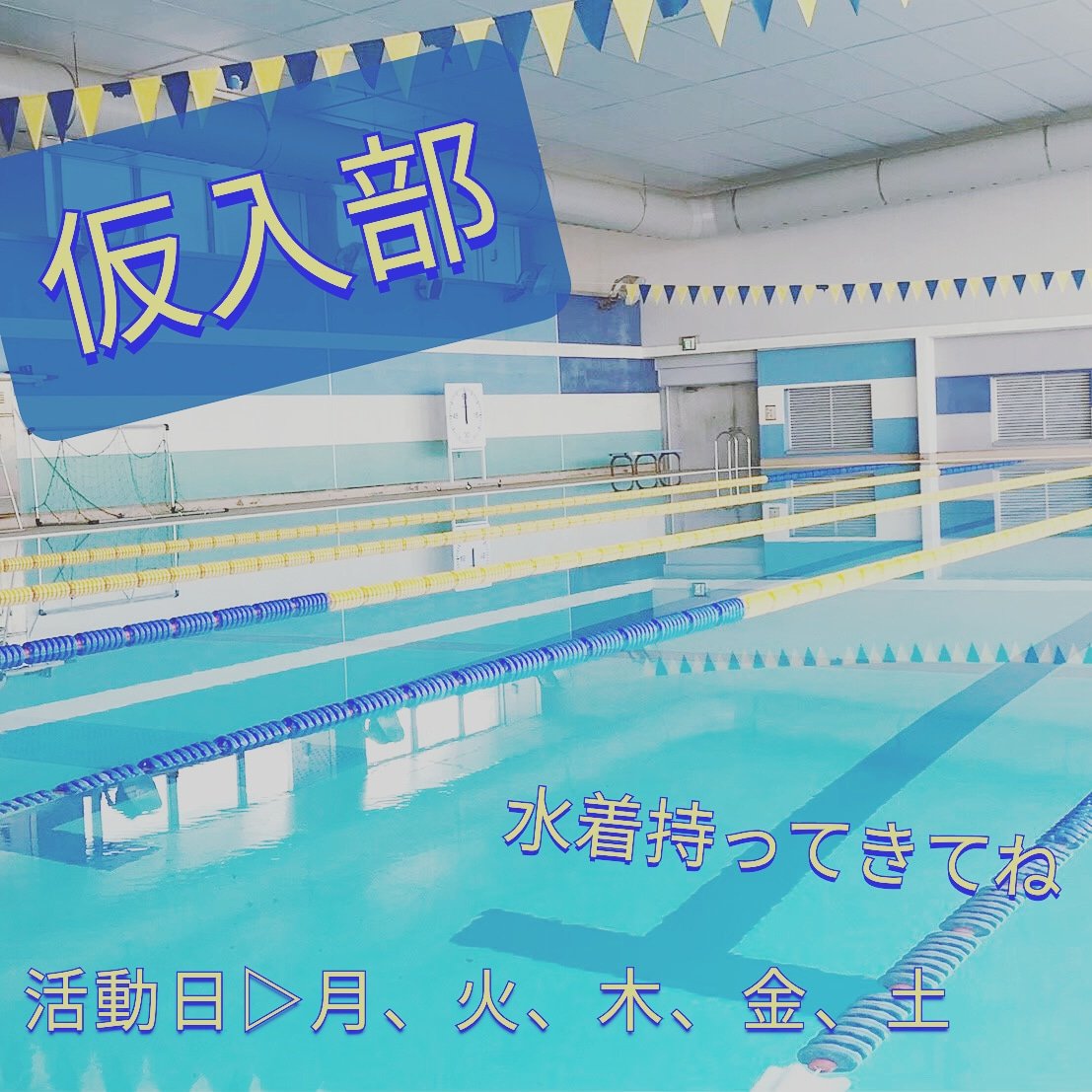 神奈川総合水泳部 Kns Swimteam Twitter 神奈川総合水泳部 Kns Swimteam Twitter
