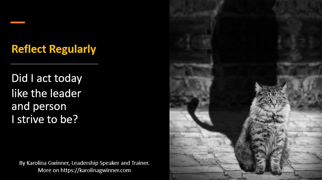 kgwinner's tweet photo. Leadership Tip For Today: Take Time Each Day to Reflect 
#leadershipdevelopment #leadershiptraining #leadershipskills https://t.co/OEbNPpdEI2