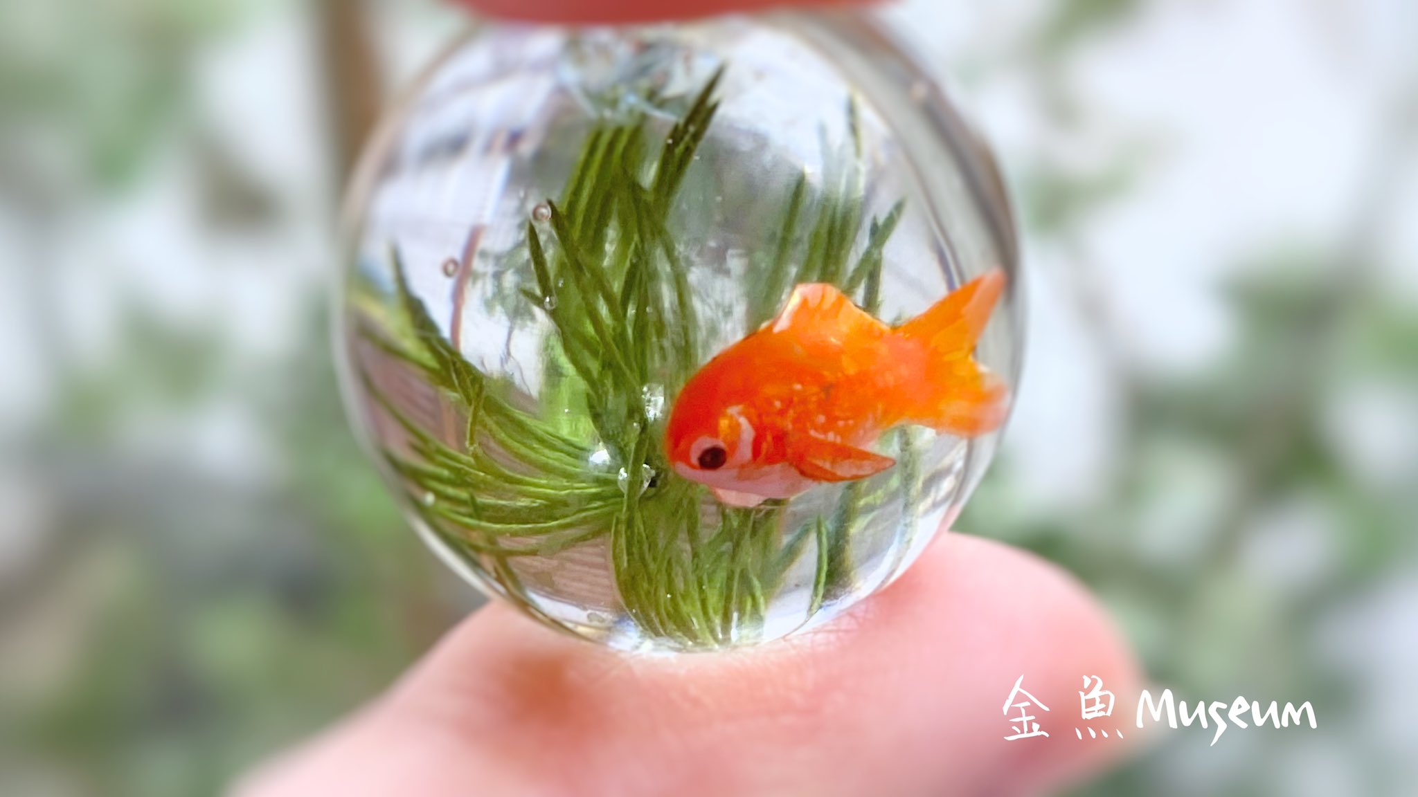 全国宅配無料 金魚ちゃん追加 金魚鉢付きあります 小物 アクセサリー News Elegantsite Gr