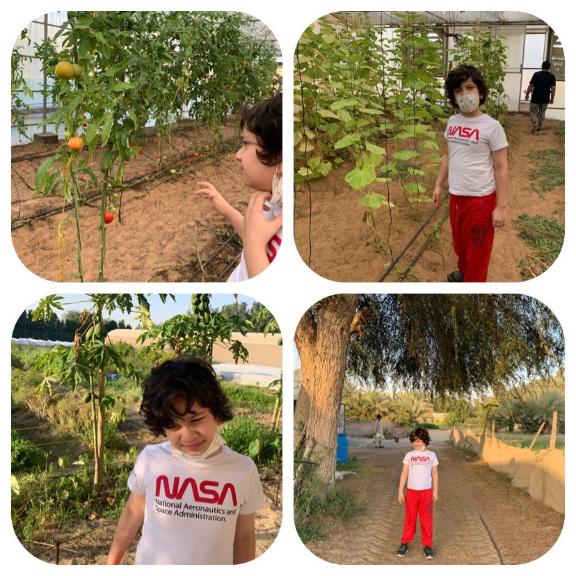 SAIMA2999's tweet photo. @WPS_SILVERJD 10th challenge @JuniorDuke #sustainability Hamdan Haamid 4B Visit To Desert Organic Farm https://t.co/CfPHxD56Pr