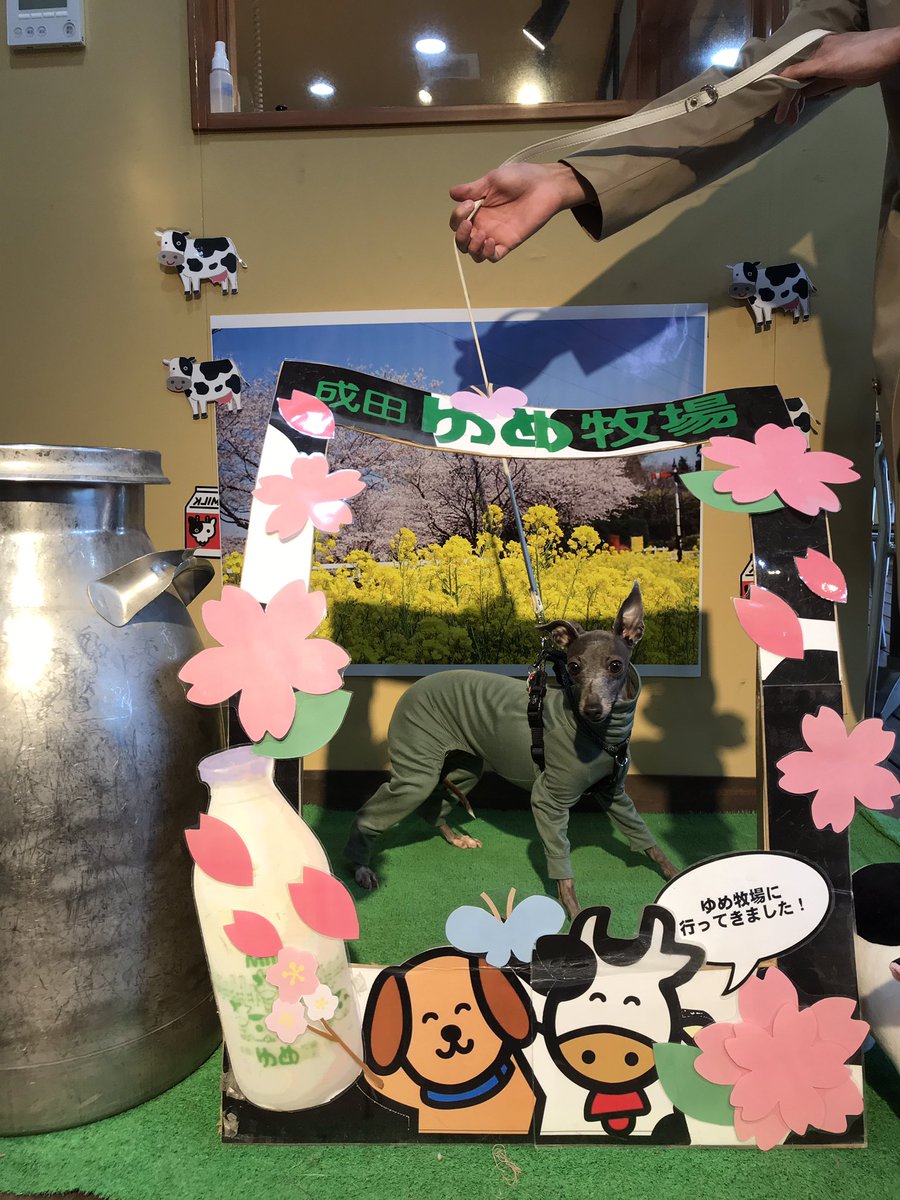 成田ゆめ牧場 成田ゆめ牧場