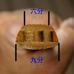 A partir du 17e siècle, ce sera le diamètre de l’arc (oscillant entre 1,2cm et 1,9cm) que les Japonais utiliseront pour définir la puissance des arcs, sans que ce soit pour autant véritablement révélateur.Aujourd’hui, la force des arcs est plutôt exprimée en kilogrammes.