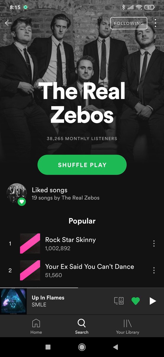 YOYOYOYOYOYOYO <a href="/TheRealZebos/">The Real Zebos</a> ROCK STAR SKINNY HAS 1 MILLION STREAMS NOW