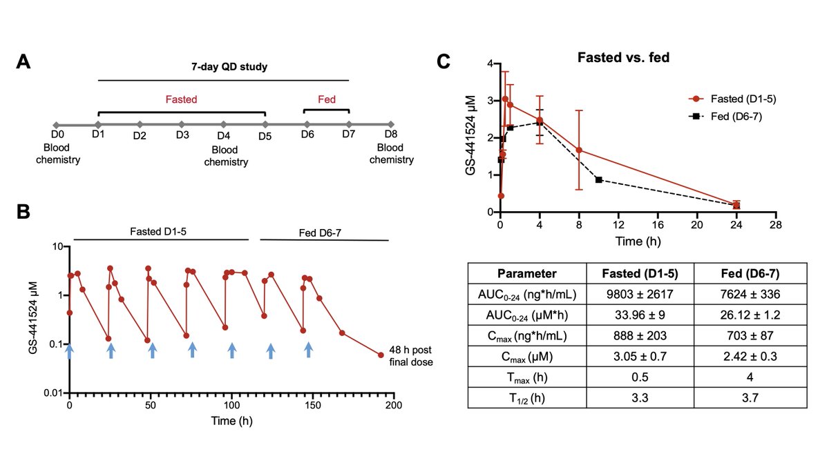 Part 1 of the study: 750 mg GS-441524 was orally administered as a solution QD for 7 days. D1-5 were performed in the fasted state. D6-7 in the fed state. There was a slight food effect that seemed to hamper drug absorption. Cmax ~2.4-3 uM. AUC ~26-33 uM. 2/7