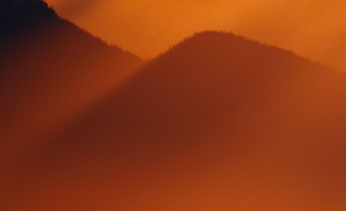 Mike Griffith tweet media